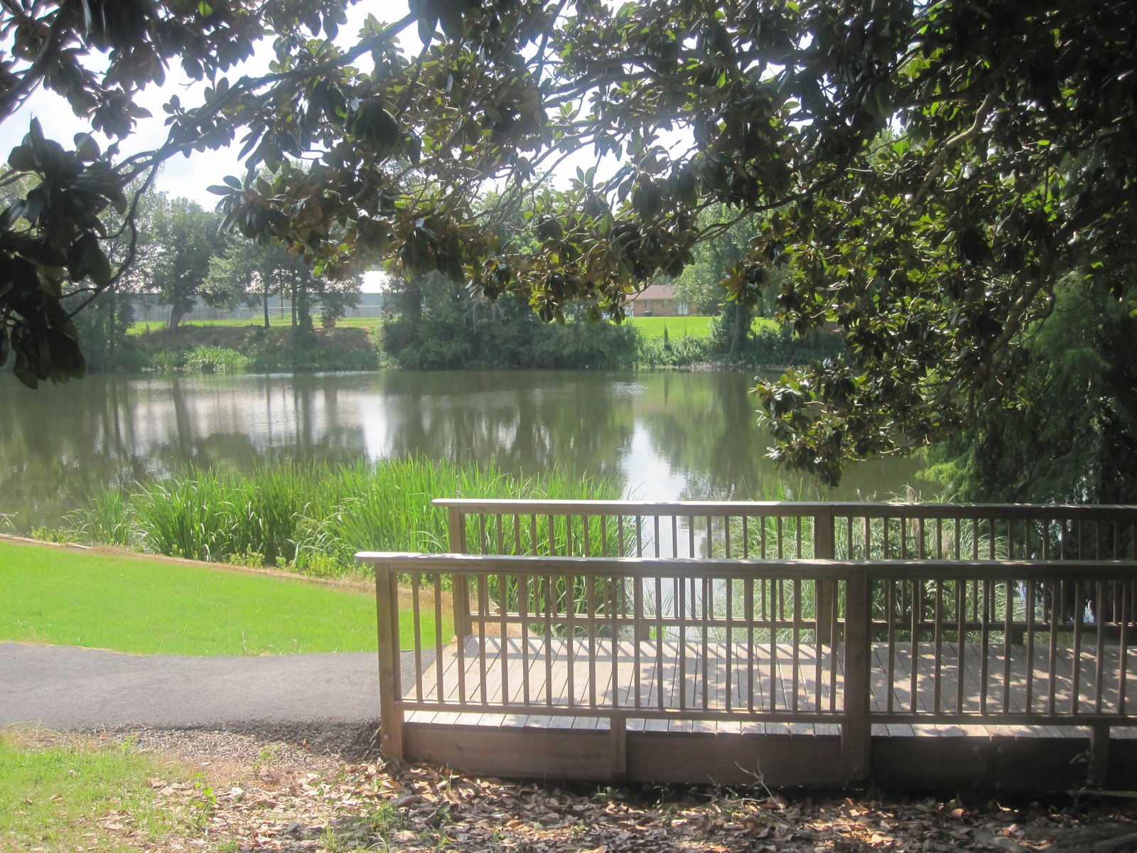 A wooden footbridge on the walking trail beside Cane River Lake, near Northwestern State University